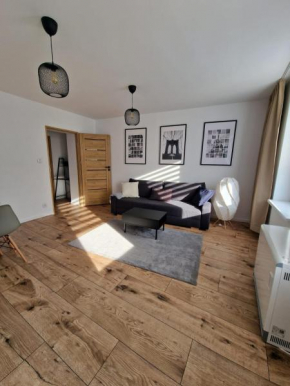 Apartament Stefano 36